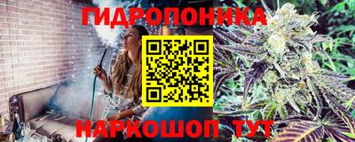 прущая мука Гусев