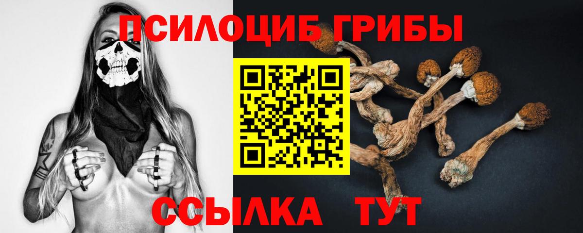 что такое наркотик  Вход с VPN  Балтийск  Галлюциногенные грибы MAGIC MUSHROOMS 